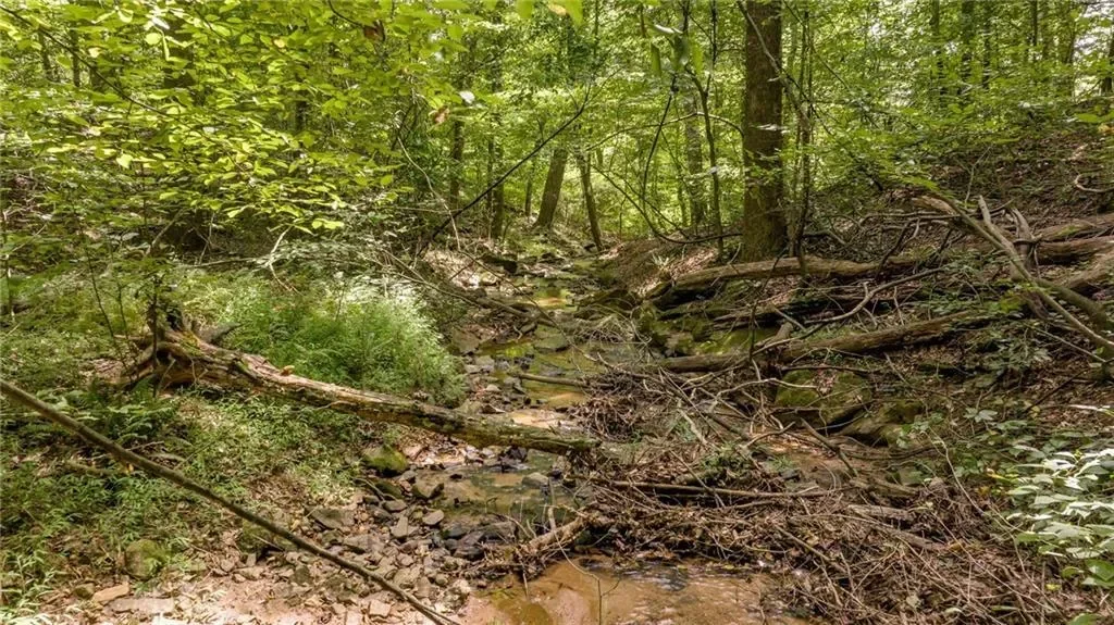 131 Caudell (2) Drive, Lula, Georgia, United States. - Photo 78