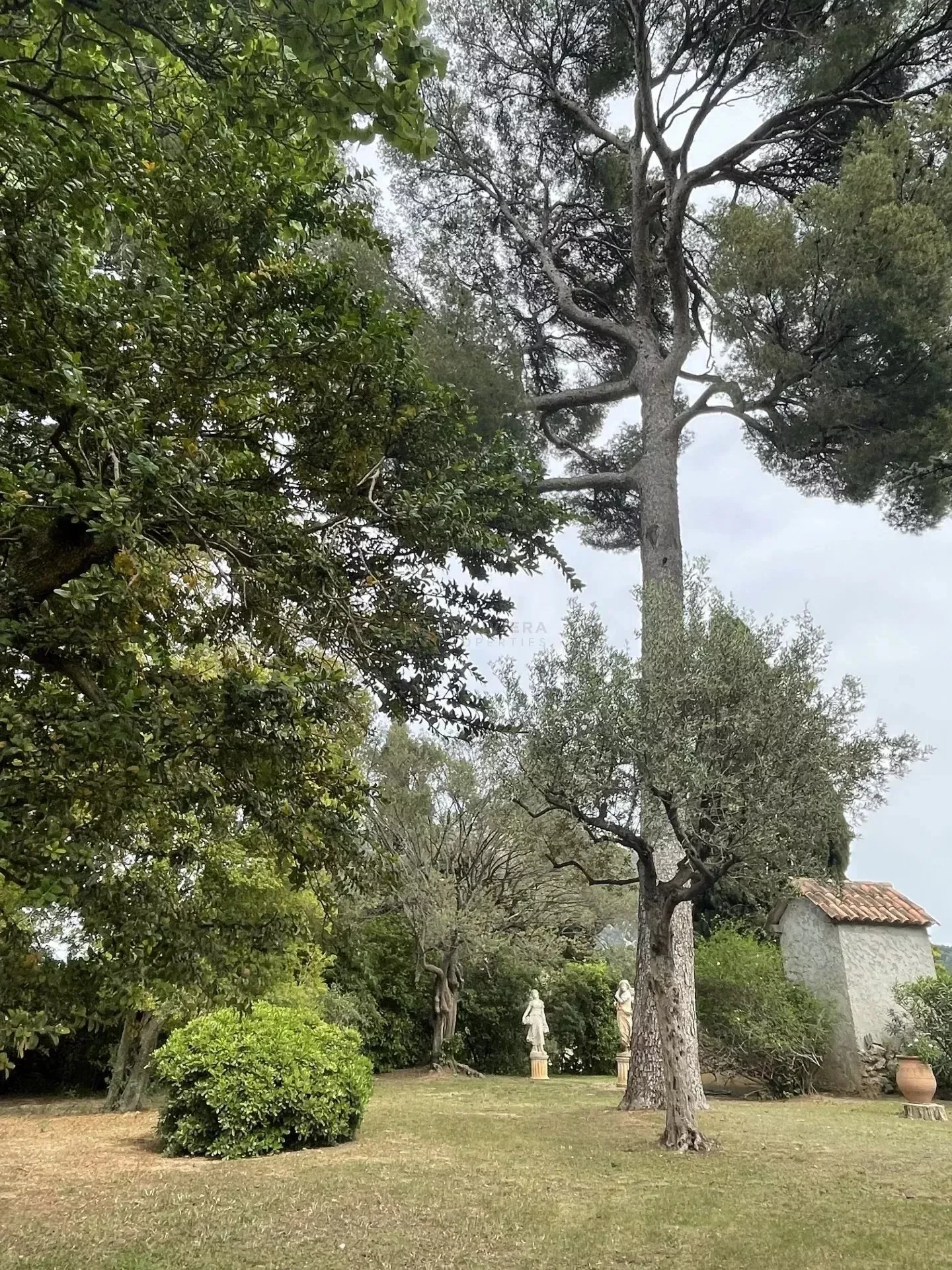 Toulon, Provence-Alpes-Côte d'Azur, France. - Photo 7