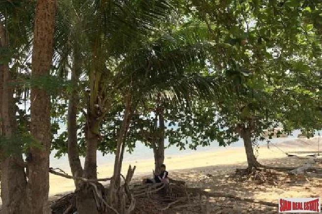 Surat Thani,, Sichon, Nakhon Si Thammarat, Thailand. - Photo 4