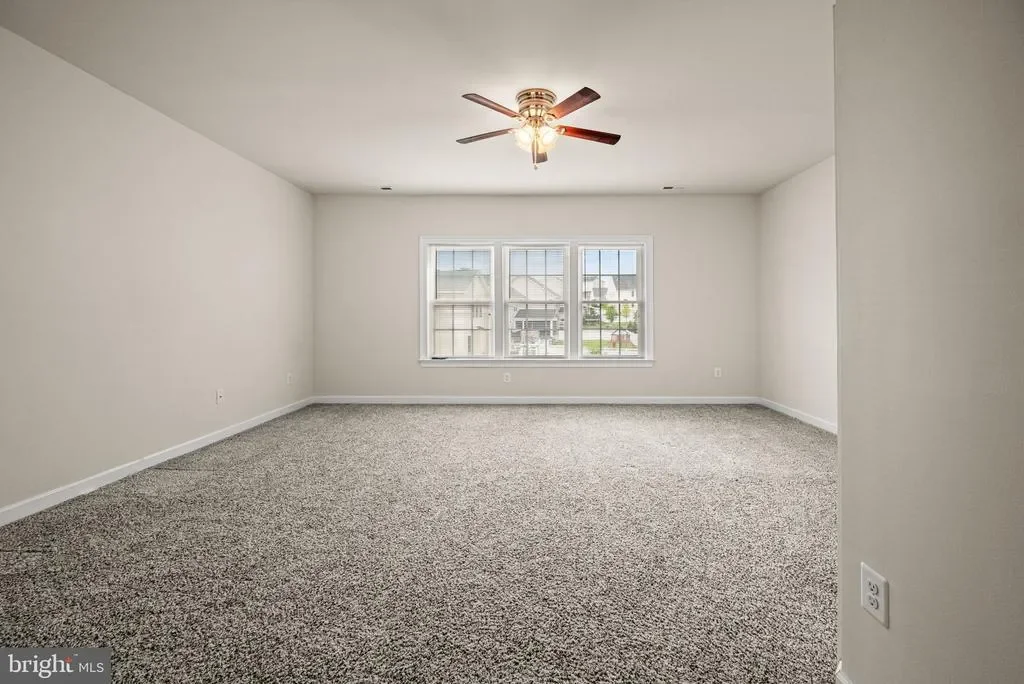Gallery photo 5