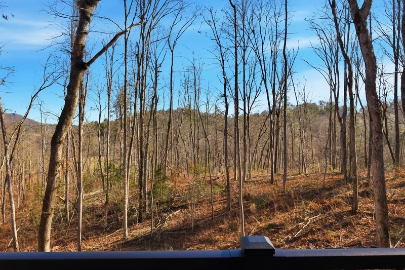 8165 Bridge Creek Road, Tiger, GA 30571, Tiger, Georgia, United States. - Photo 5