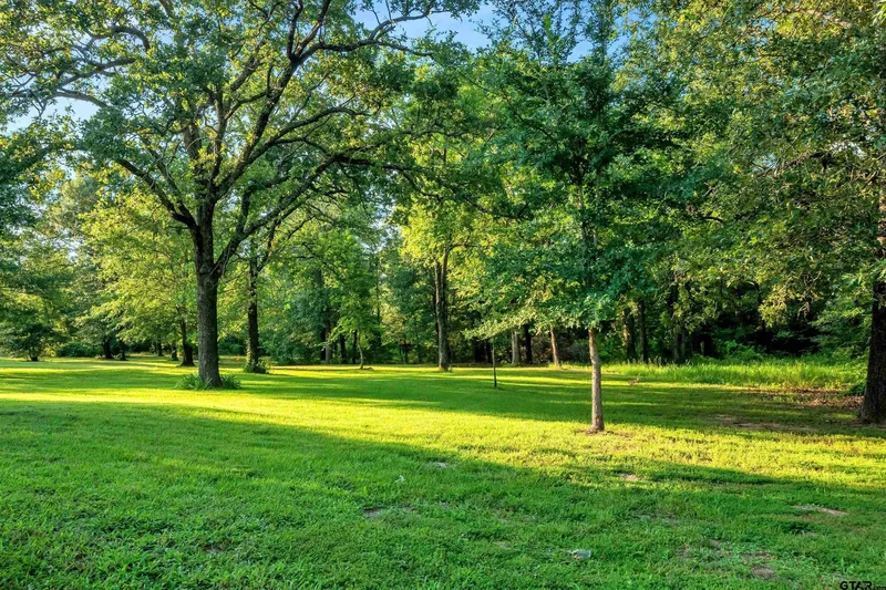 10781 County Road 2913, Eustace, TX 75124, Eustace, Texas, United States. - Photo 16