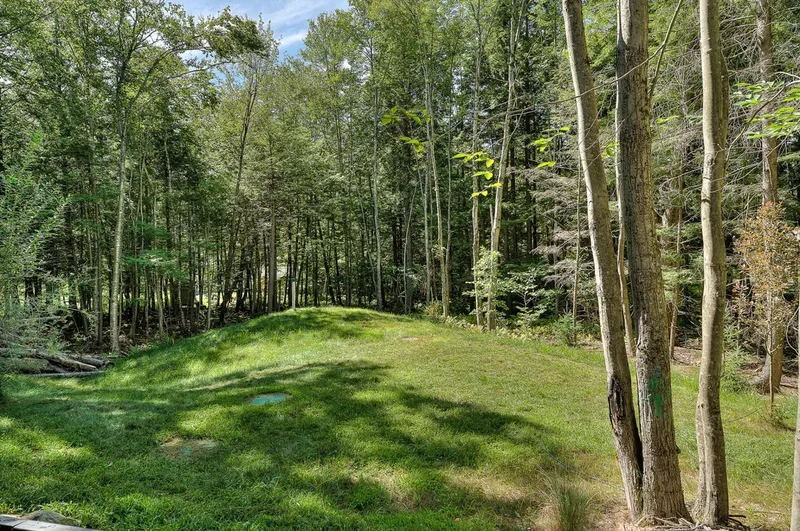 115 Rue du Domaine-Mon-Louis, Eastman, Quebec, Canada. - Photo 30