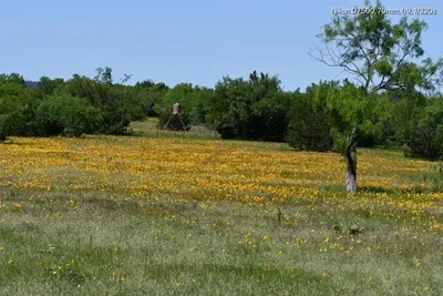 Thumbnail 30