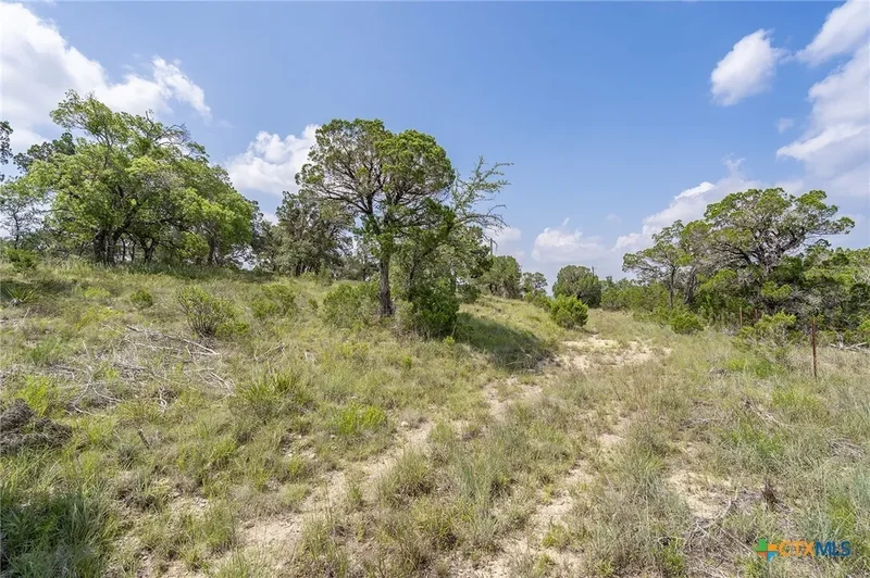 19705 Tyler Trail, Jonestown, TX 78645, Jonestown, Texas, United States. - Photo 10
