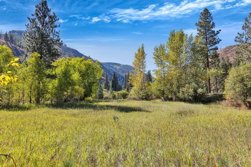 162 Medicine Springs Road, Conner, MT 59827, Conner, Montana, United States. - Photo 6