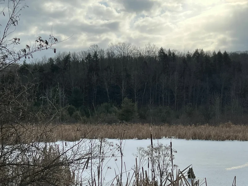 0 Rathbunville Lane , Fort Ann, NY 12827, Whitehall, New York, United States. - Photo 15