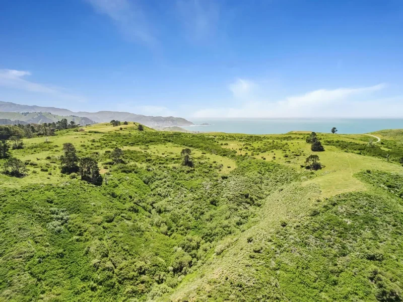 720 Lockhaven Drive, Pacifica, California, United States. - Photo 3