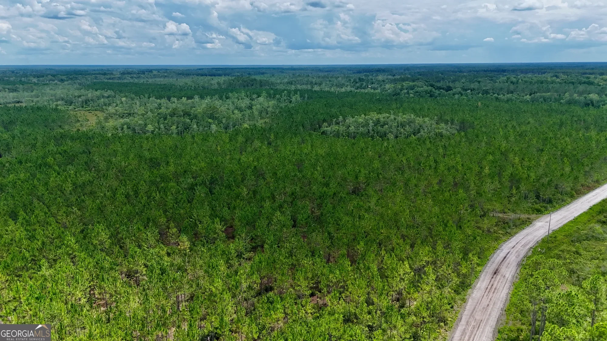 0 Fire Tower Road, Manor, GA 31550, Manor, Georgia, United States. - Photo 3