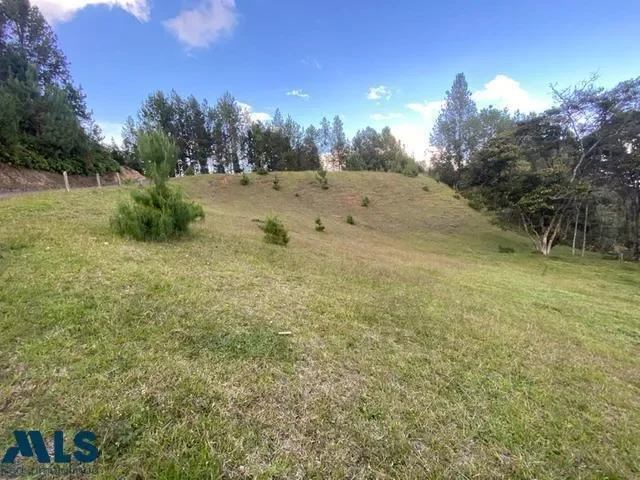 the best of nature