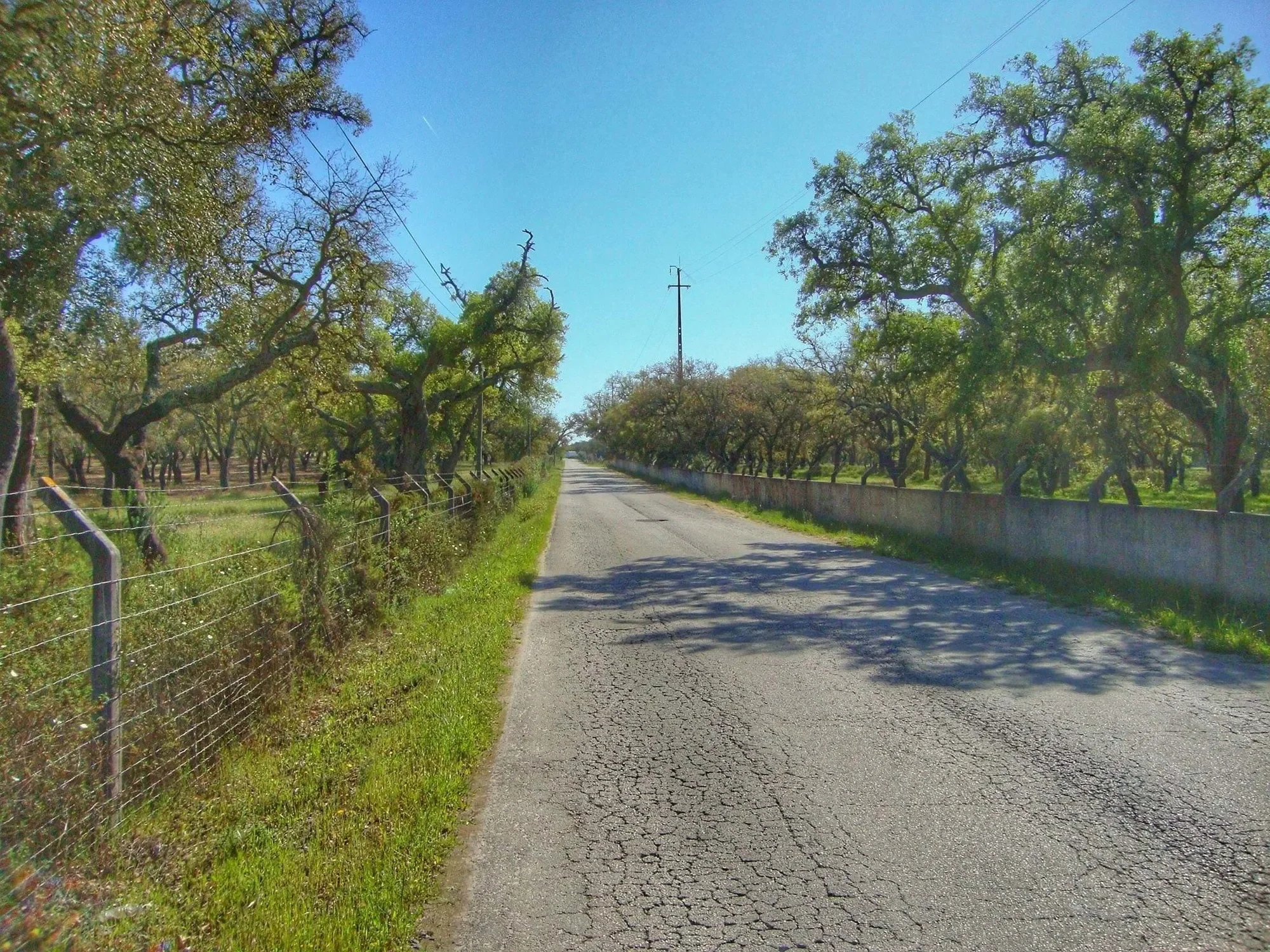Land in Alcochete