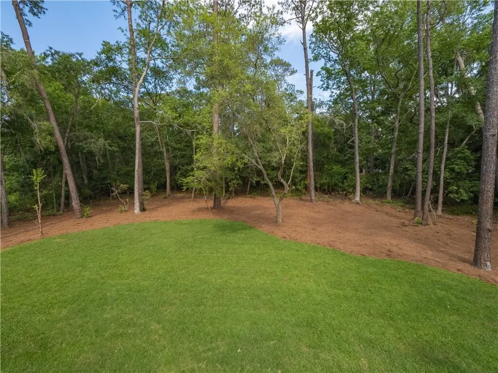 160 Butler Lake Drive, St Simons Island, GA 31522, St. Simons, Georgia, United States. - Photo 31