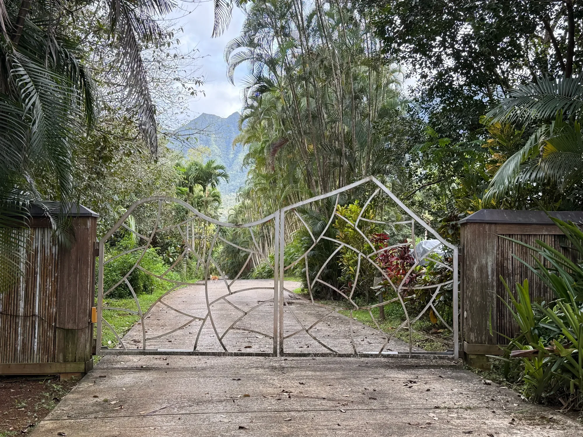 2818 KAMOOKOA RD, #5, Kilauea, HI, 96722, USA, Kilauea, Hawaii, United States. - Photo 4