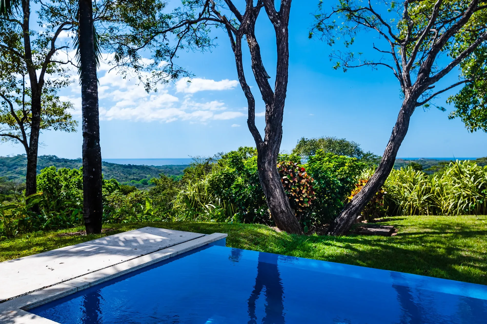 37V6+JFF, Guanacaste Province, Emerald Woods, Costa Rica, Emerald Woods, Guanacaste Province, Costa Rica. - Photo 16