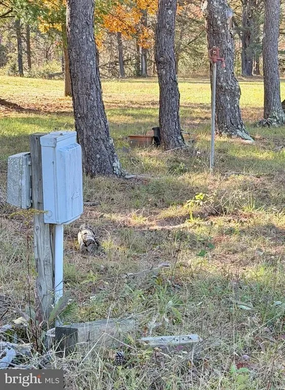 4485 Smokey Hollow Rd, Bloomery, WV 26817, Capon Bridge, West Virginia, United States. - Photo 57