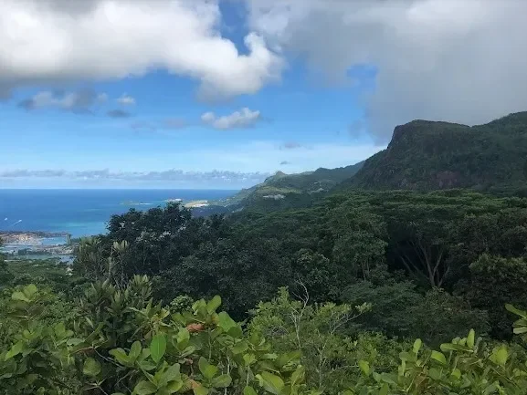 8CGQ+7QR, Grand Anse Village, Seychelles, Souvenir, Grand'Anse Mahé, Seychelles. - Photo 10