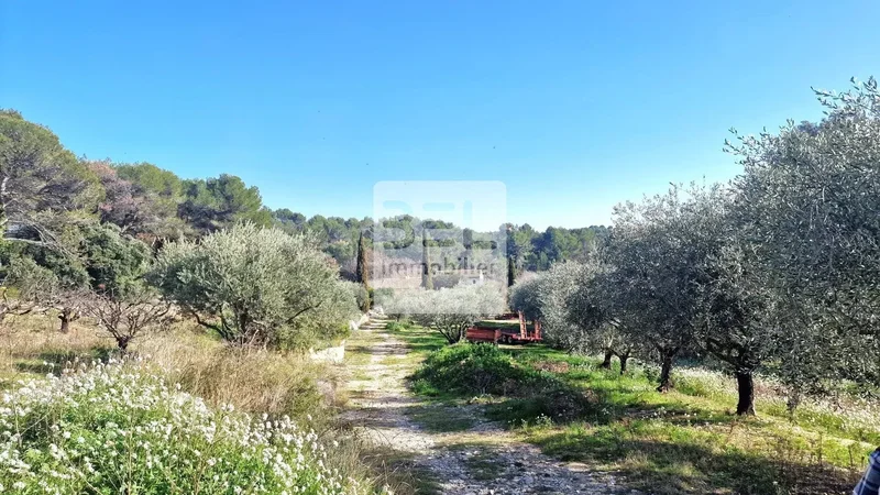 L'Isle-sur-la-Sorgue, Provence-Alpes-Côte d'Azur, France. - Photo 24