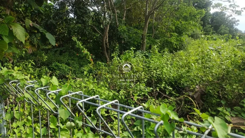 Bali, Indonesia. - Photo 4