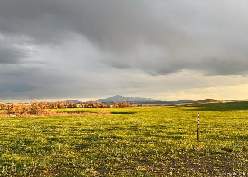 6597 S State Highway 83, Franktown, Colorado, United States. - Photo 16