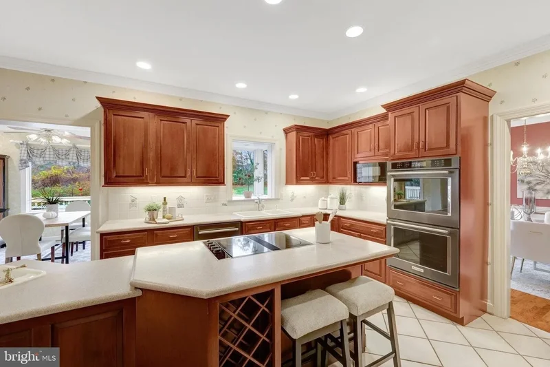 10100 WALKER LAKE DR, GREAT FALLS, VA, 22066, USA, Great Falls, Virginia, United States. - Photo 57
