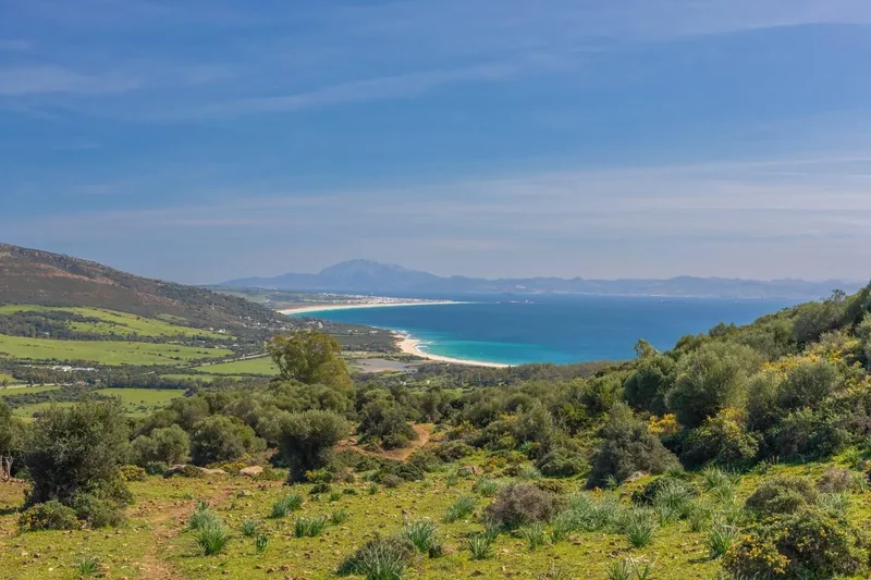 Betis, Tarifa, CADIZ, Tarifa, Tarifa, Andalusia, Spain. - Photo 82