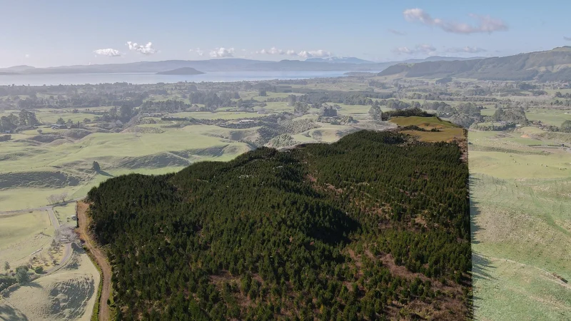 414C Dalbeth Road, Hamurana, Rotorua, BOP 3072, Hamurana, Bay of Plenty, New Zealand. - Photo 3