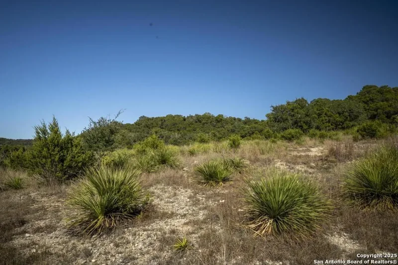 29008 Cibolo Cliff, Bulverde, Texas, United States. - Photo 21
