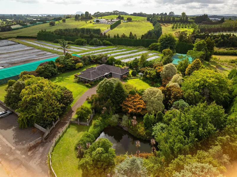 389 Old Highway, Whakamārama 3180, New Zealand, Whakamarama, Bay of Plenty, New Zealand. - Photo 7