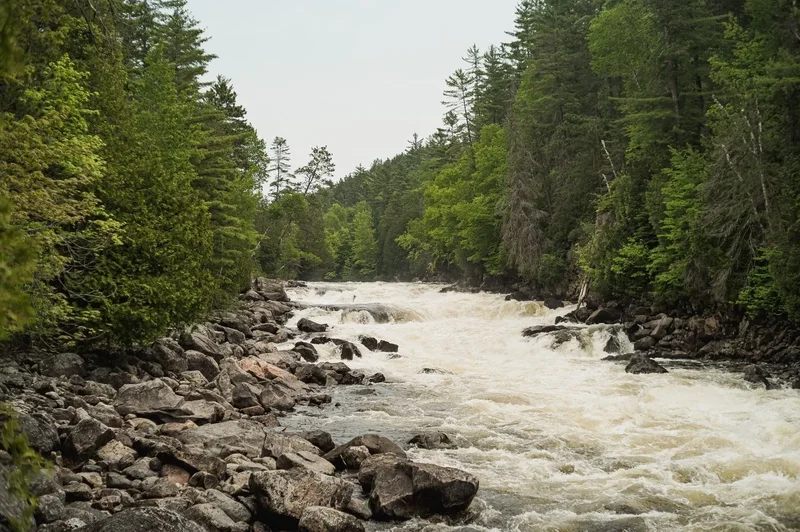 Les Lacs-du-Témiscamingue, QC, J0Z1Z0, CANADA, Saint-Édouard-de-Fabre, Quebec, Canada. - Photo 19