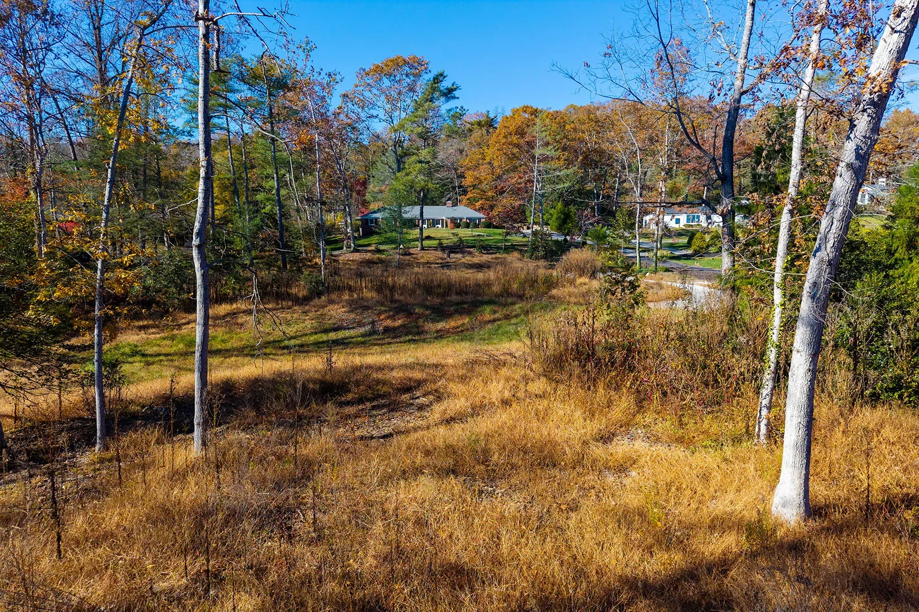 50 Forest Road, Asheville, NC 28803, Asheville, North Carolina, United States. - Photo 17