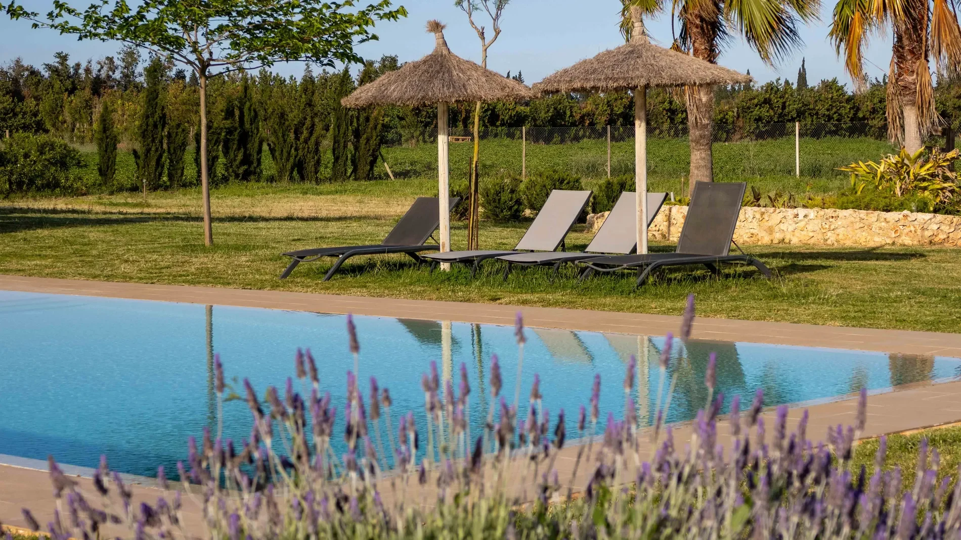 Llubí Finca
