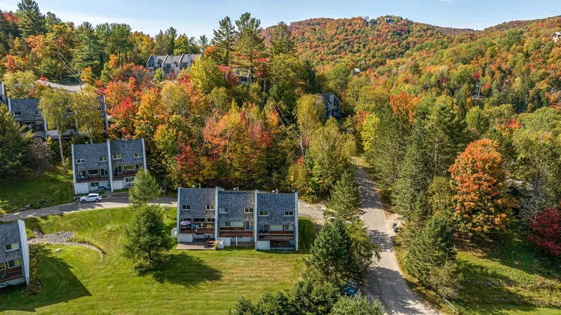 156 Rue Pinoteau, Mont-Tremblant, Quebec, Canada. - Photo 50