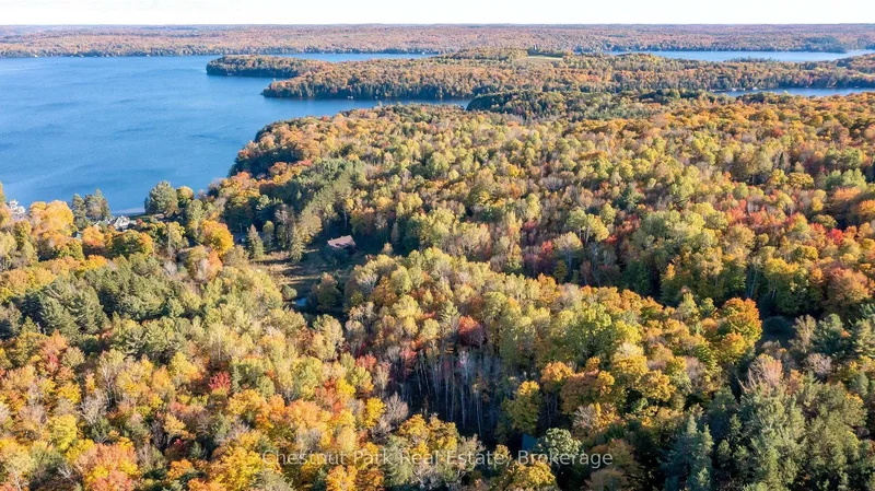1033 Point Ideal Road, Dwight, Ontario, Canada. - Photo 39