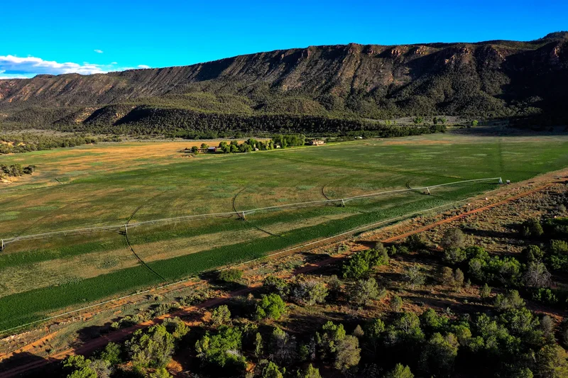Sinbad Ranch , Gateway, CO 81522, Gateway, Colorado, United States. - Photo 45