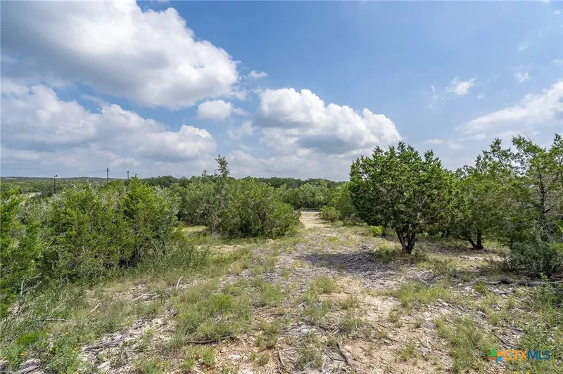 19705 Tyler Trail, Jonestown, TX 78645, Jonestown, Texas, United States. - Photo 3