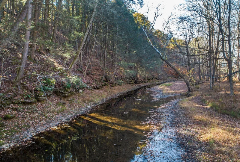 13 Lily Valley Road , Erwinna, PA 18920, 18920, Pennsylvania, United States. - Photo 3
