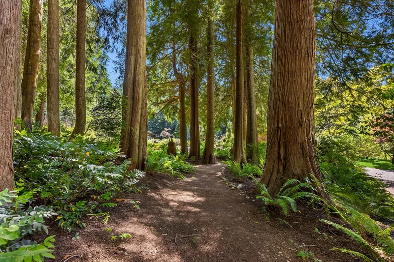 9631 Summer Hill Lane NE , Bainbridge Island, WA 98110, Bainbridge Island, Washington, United States. - Photo 23