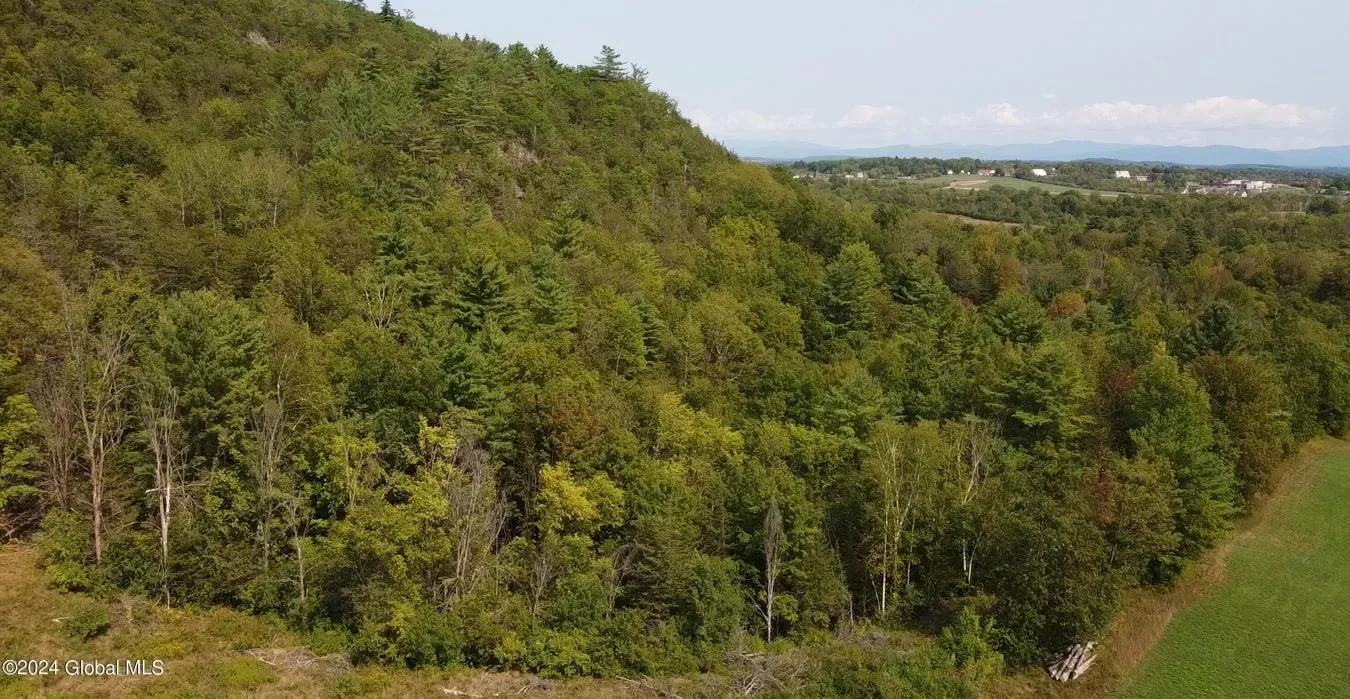 729 State Route 9N, Ticonderoga, New York, United States. - Photo 10