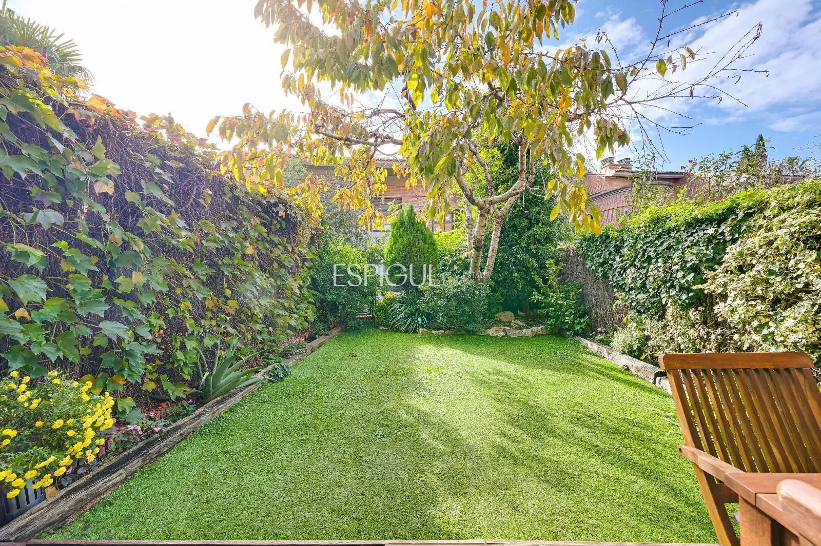 Gallery photo 5