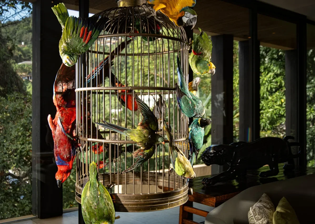 Phuket,, Kamala, Phuket, Thailand. - Photo 12