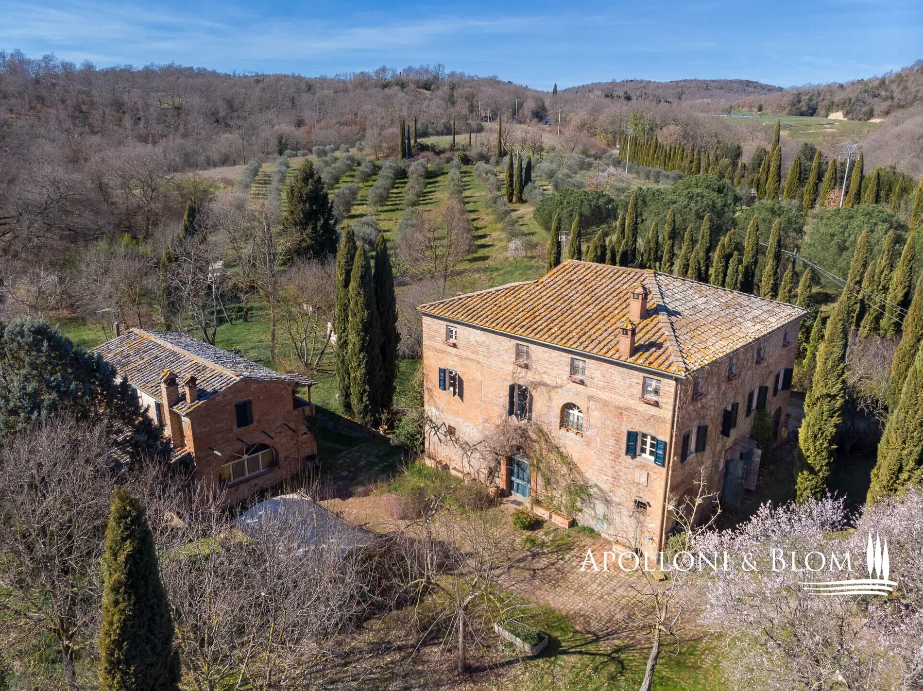 Strada Provinciale 14, Poggi Gialli, Tuscany, Italy. - Photo 7