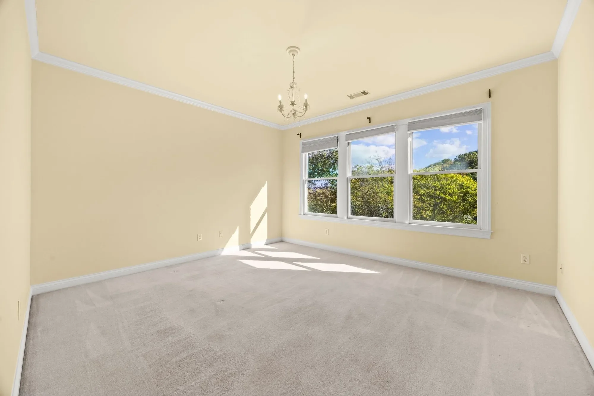 Gallery photo 4