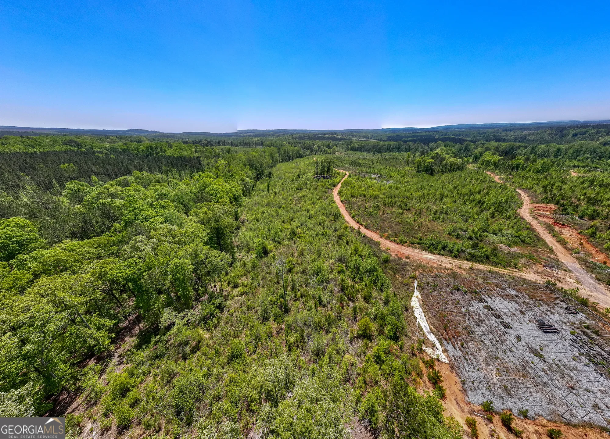 Shiloh, Georgia, United States. - Photo 36