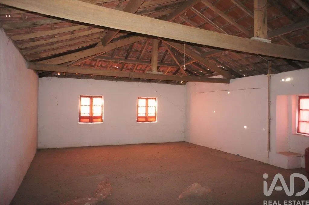 Gallery photo 7