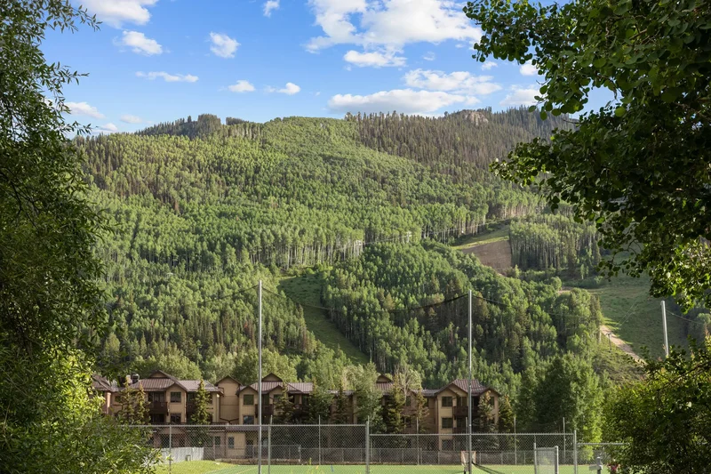 737 W Galena Avenue , Telluride, CO 81435, Mountain Village, Colorado, United States. - Photo 31