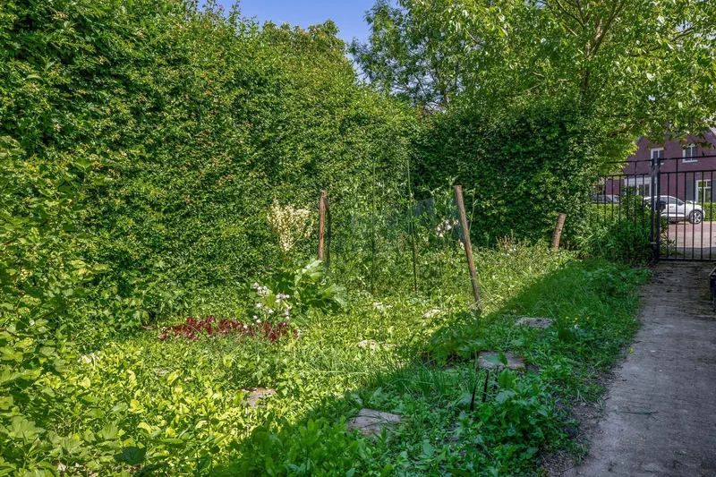Lupine 13, Eersel, North Brabant, Netherlands. - Photo 24