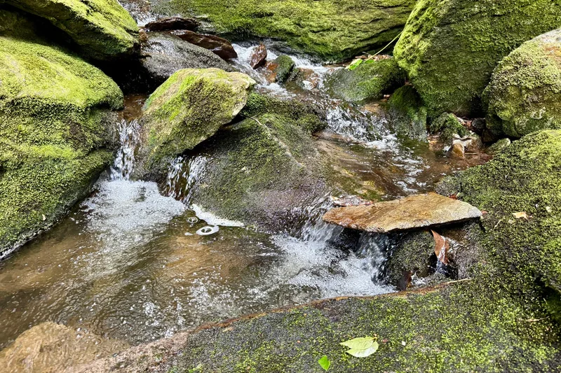 Lot 39 Mossy Creek Court, Boone, NC 28607, Boone, North Carolina, United States. - Photo 20