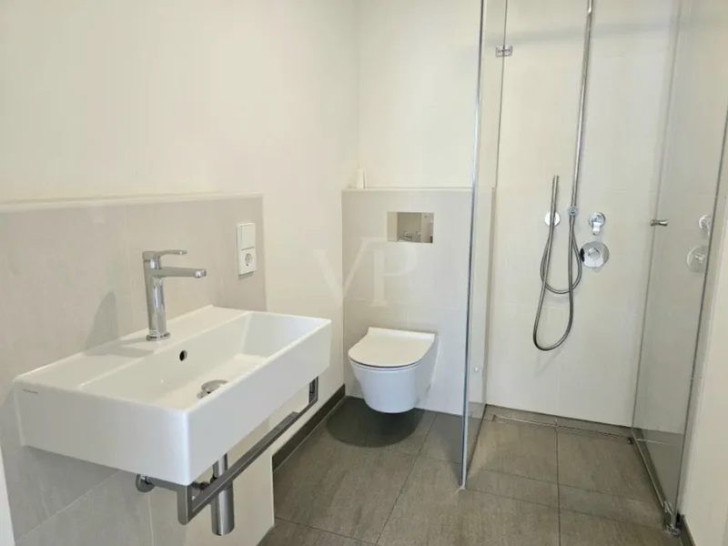 Mannheim, Baden-Württemberg, Germany. - Photo 4