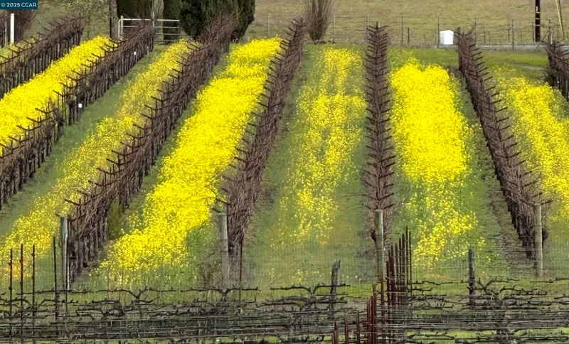 5267 Old Sonoma Rd, Napa, California, United States. - Photo 18