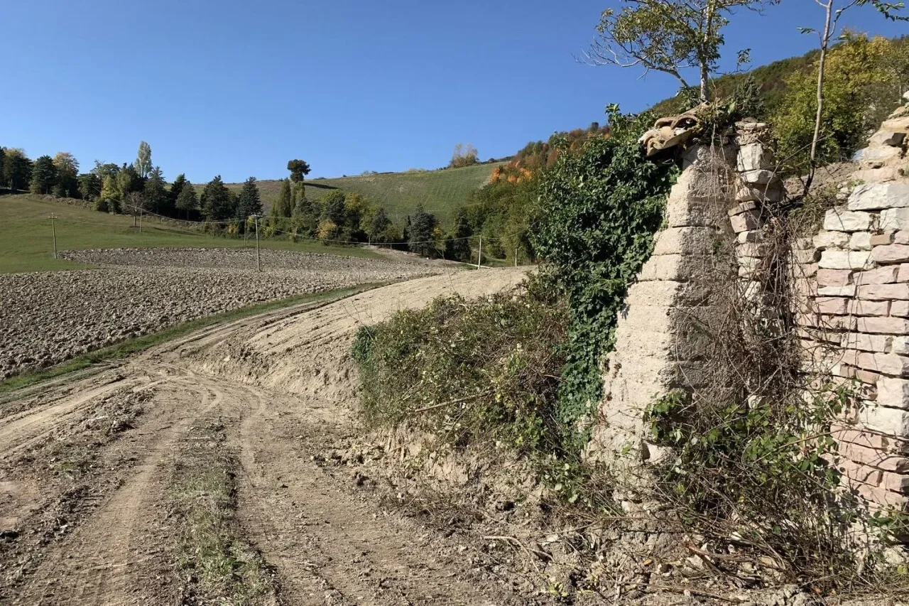 Località Monte Martello, Strada Pigno, N. snc, Marche, Italy. - Photo 8